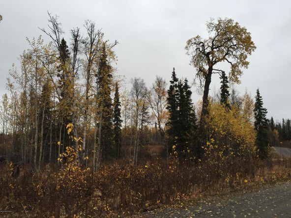 63885 Tailwind Rd, Ninilchik, AK 99639